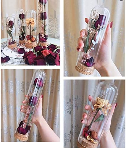 צנצנת פעמון של כיפת זכוכית נירליבה עם צנצנת פעמון של פקק בסיס מרכזי שולחן חתיכה מארז לאחסון פרחים מיני זכוכית פרחים
