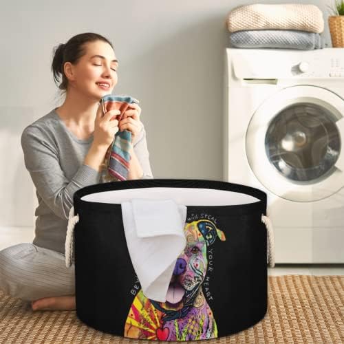 כלב לא-מיינסטרים סלים עגולים גדולים לאחסון סלי כביסה עם ידיות סל אחסון שמיכות למדפי אמבט