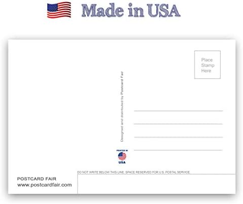 טקסס מדינת מפת גלויה סט של 20 זהה גלויות. כרטיסי דואר עם מפת טקסס וסמלי מדינה. תוצרת ארצות הברית.