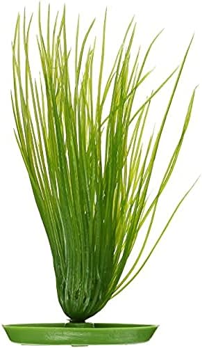 Marina Aquascaper Grass, 8 אינץ '