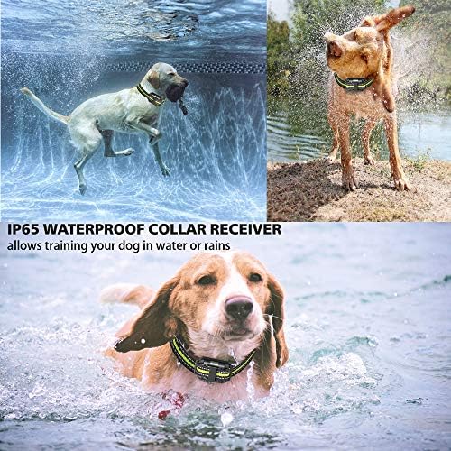 צווארון אילוף כלבים עם שלושה מצבי אילוף, צווארון אילוף עמיד למים, טווח ארוך עד 2600 רגל