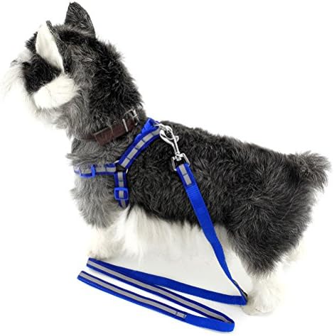 קטן_לוקי_חנות 16-24 ניילון לחיות מחמד כלב רעיוני רצועת רתם רצועה סט, קטן, כחול