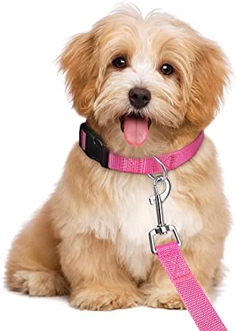 Weewooday 8 חתיכות צווארון כלבים ורצועה קבעו צווארוני כלבים מתכווננים ניילון ורצועה צווארוני גורים מותאמים אישית