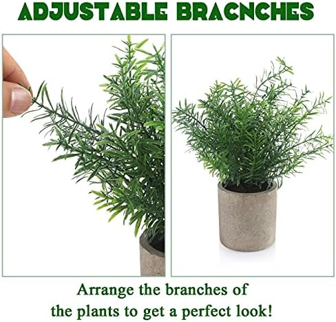 Alagirls צמחים מזויפים קטנים סט של 4 - אקליפטוס רוזמרין בשרניים צמחים מלאכותיים בעציצים לעיצוב הבית מקורה