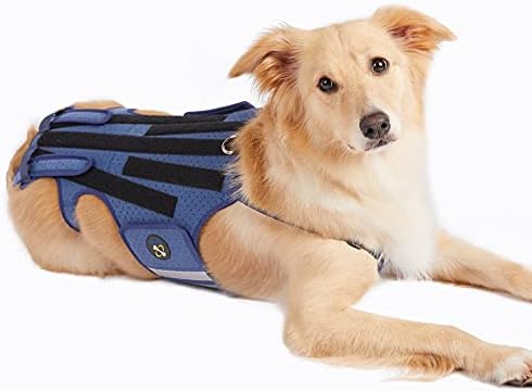 סד גב לכלבים של קודאו לדלקת פרקים, מגן גב לחיות מחמד לטיפול בהפרשת שתן, מגן גב מסייע בהקלה על כאבים, התאוששות