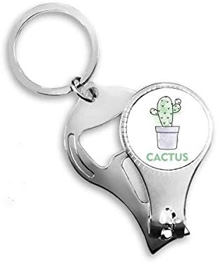Cactus Soculent