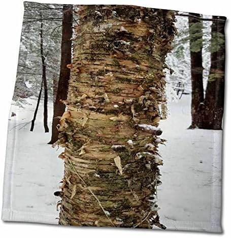 3drose tdswhite - תמונות טבע עונתיות בחורף - יער חורף עץ ליבנה - מגבות