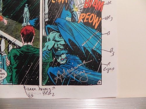 באטמן של אלים וגברים מדריך צבע חתום על ידי אדריאן רוי עם עמ ' 18