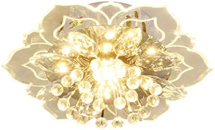 XBWEI LED גביש זכוכית תקרה אור פרח צורה מנורת תקרה צבעונית אור לסלון חמות מסדרון מעבר