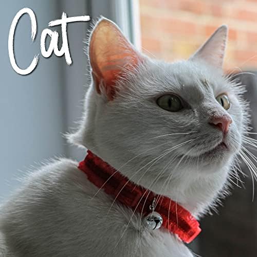 אנקול קטיפה סלסולים בטיחות חתול צווארון, אדום.