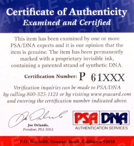 פט הילי 2איקס חתם על פוקס 9 להילחם כפפות משומשות שחוקות 2013 נגד ירוק-חתימה כפפות