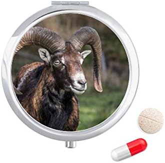 כבשים ייעור מדע טבע גלולת מקרה כיס רפואת אחסון תיבת מיכל מתקן