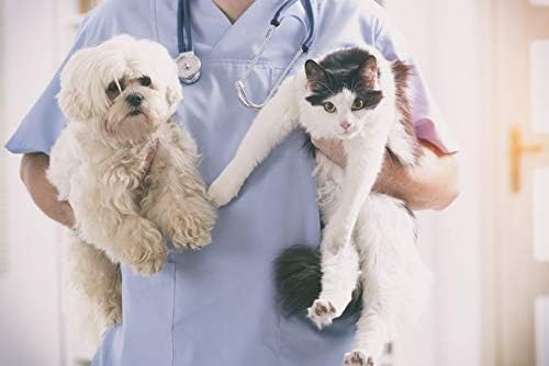 אנטי גירוד חתולים-כלב וחתול אלרגיה הקלה-עבור חיות מחמד-להקל על גירוד-פרימיום-חתול עור וגירוד הקלה-225 פינוקים