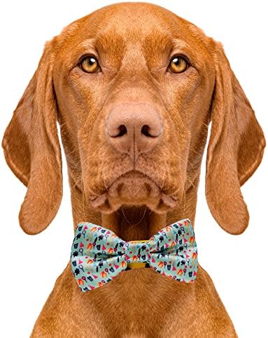 עניבות חמודות עניבת פרפר לכלב יום הולדת-2& 34; איקס 4& 34; עניבות פרפר באיכות פרימיום לכלבים - עניבת כלב מפוארת עם החלקה