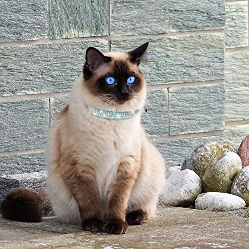 חתול צווארון עם פעמונים - מתכוונן רך עור חמוד לחיות מחמד קולרים לחתולים גור-מסמרת ריינסטון בלינג חתול צווארון