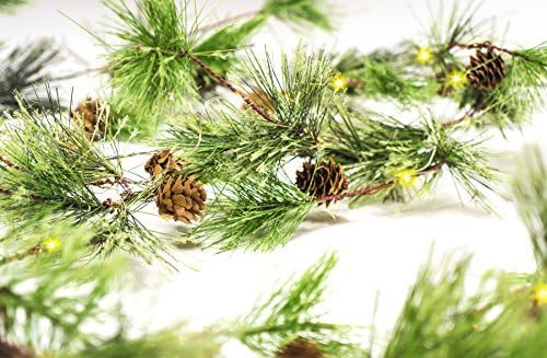 Craftmore Smokey Pine 6 'זר חג המולד עם אורות