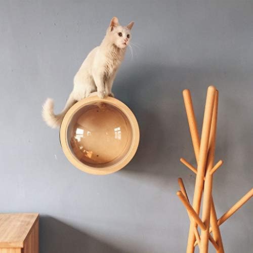 חתול טיפוס מסגרת קפסולת חלל חתול המלטת שקוף חלון חתול בית עץ חתול ריהוט קיר תליית חתול בית טיפוס מסגרת חתול מגדל