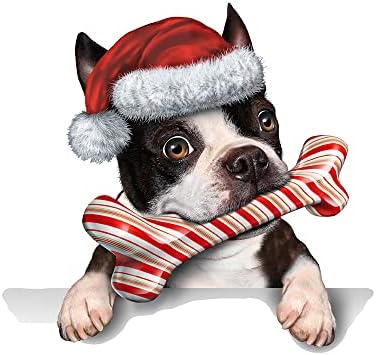 מדבקות קטנות מהנות מדבקות קיר לחג המולד עצמות כלב מחמד כובע חג המולד מדבקות דלתות מקרר חנות חיות מחמד מדבקות מדבקות