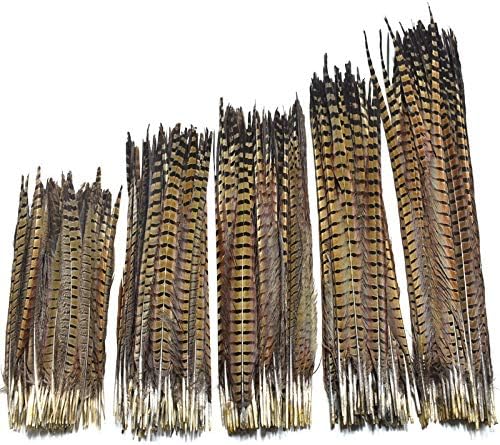 25-70 סמ 10-28 טבעי פסיון נוצות עבור מלאכות שיער הארכת סידורי קישוט נוצות הודי כיסוי ראש-10 יחידות-זמיחלהא