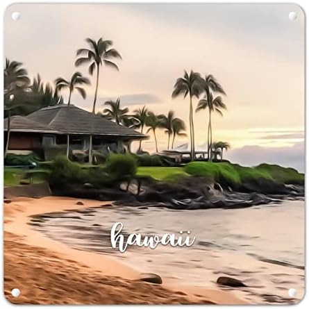 Woguangis American Beach Hawaii קיר מתכת שלט ארהב מדינת הוואי קיר קיר קיר פלאקס עיר מתנה למזכרת שלט מתכת שלט מתכת