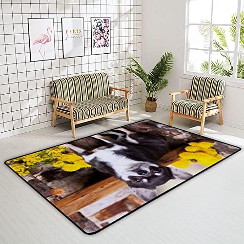 זוחל שטיח מקורה משחק מחצלת צ'יוואווה כלב לסלון חדר שינה חינוכי חינוך חינוכי שטיחים שטיחים 63x48in