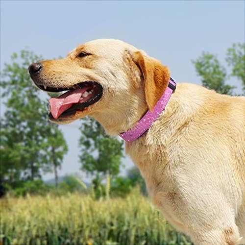 TDTOK נוצץ צווארון כלבים בלינג, צווארון כלבים נוח ועמיד לכלבים קטנים בינוניים גדולים עם אבזם פלסטיק ידידותי לסביבה,