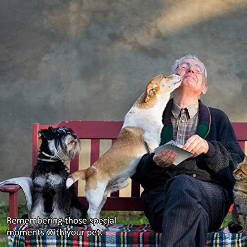 פוסקרלס לחיות מחמד זיכרון תמונה מסגרת עבור חיות מחמד אובדן. להראות למישהו שאכפת לך עם כלב או חתול זיכרון מסגרת