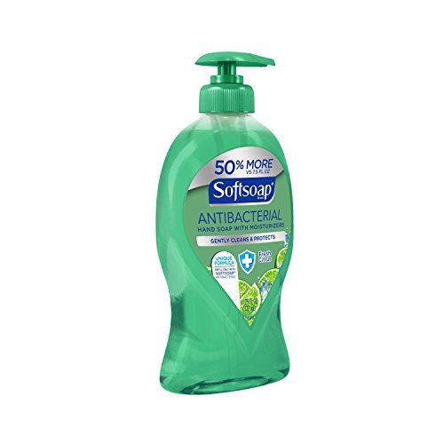 סבון רך נוזלי יד סבון משאבת, אנטיבקטריאלי טרי הדר, 11.25 אונקיה
