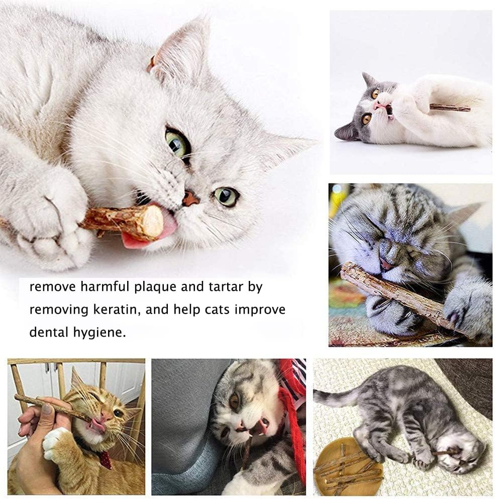 מקלות silvervine dfsucces לחתולים, צעצועים לחתולים של סילוויוורן לחתולים מקורה, ניקוי כלים טוחנים שיניים, לניקוי שיני