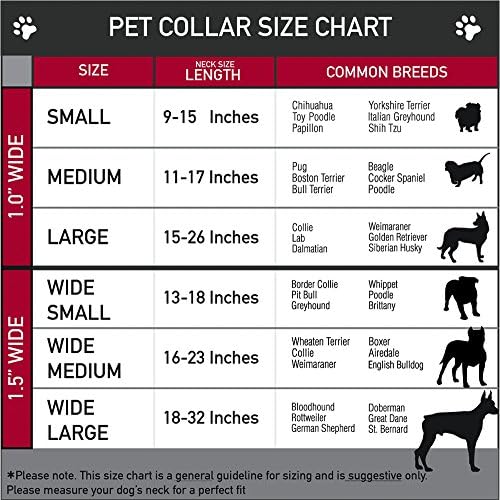 צווארון כלב אבזם צווארון חגורת בטיחות באבזם בזינגה זהב אדום שחור, צבע רב, 1 רחב - מתאים לצוואר 15-26 - גדול