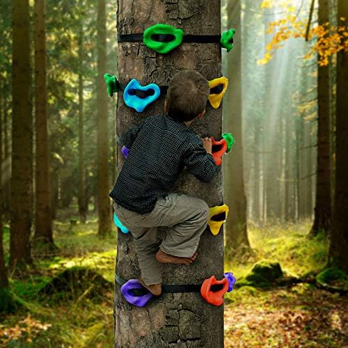 Plyfuns 12 נינג'ה עץ טיפוס אוחז לילדים - טיפוס סלעים אוחז עם 6 רצועות מחגר יציבות מטפסים למבוגרים סלעים לאימוני משחק בחוץ
