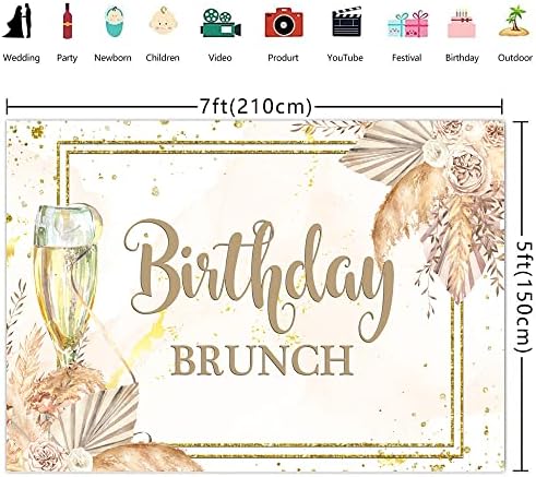 טיקוניקואה 7 6 רגל בוהו מסיבת יום הולדת רקע יום הולדת בראנץ ' שמפניה בוהו פמפות נשים יום הולדת צילום רקע נשים 30 40 50 מסיבת