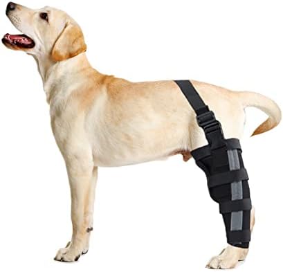 כלב רגל פלטה עבור חזרה רגל, כלב רגל סד משותף לעטוף עם מתכת רצועות ורצועה רעיוני, מתכוונן הברך סד רגל תמיכה לכלבים