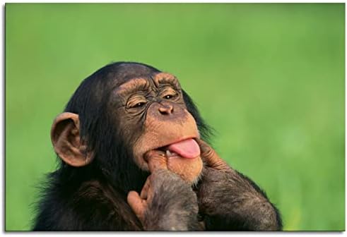 שימפנזים של LZACVBW פוסטר של בעלי חיים קוף מצחיק קוף מחייך קוף קוף בד הדפסים אמנות קיר לקישוטים לקולנוע משרדי ביתי