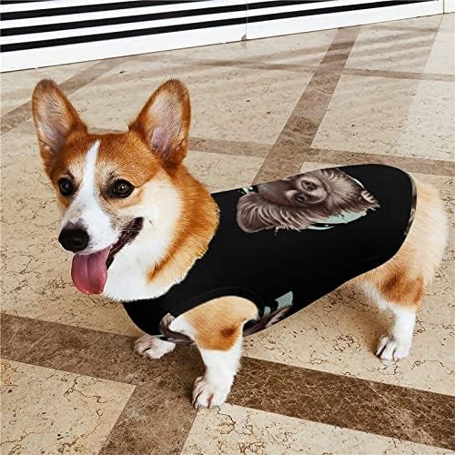 צ'יוואווה כלב כלב סוודר סוודר סווטשירט סווטשירט בגדים לכלבים וחתולים בינוניים קטנים XL