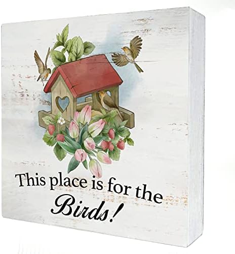 מקום זה מיועד לתיבת העץ של הציפורים עיצוב הבית תפאורה כפרית אביב הקיץ הקיץ בציפור עץ קופסת עץ שלט בלוק לקישוט