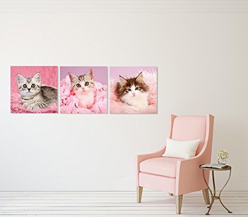 הלו יפה קיטי מודרני בד אמנות הדפסת חמוד חיות מחמד חתלתול ציורי ורוד חתול בעלי החיים תמונה על בד 3 פנלים ז ' יקלה