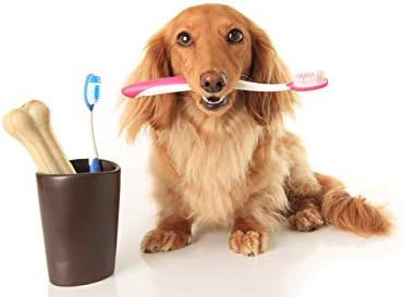 כלב היגיינת פה לועס-כלב בריא שיניים טיפול-מסטיק ושיניים מורכב - להפסיק פלאק לבנות - כלב היגיינת פה לועס-2 בקבוקים