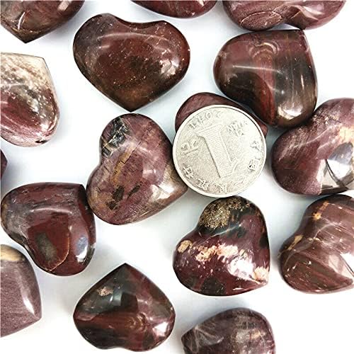 Laaalid xn216 1pc טבעי אבן עץ מאובנת בצורת אבן צורת אבני ריפוי גביש מלוטשות אבנים טבעיות ומינרלים טבעיים