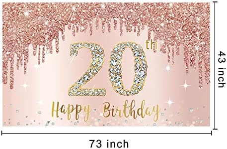 שמח יום הולדת 20 באנר רקע קישוטי עבור נשים בנות, עלה זהב 20 יום הולדת סימן ספקי צד, ורוד 20 שנה ישן יום הולדת פוסטר רקע