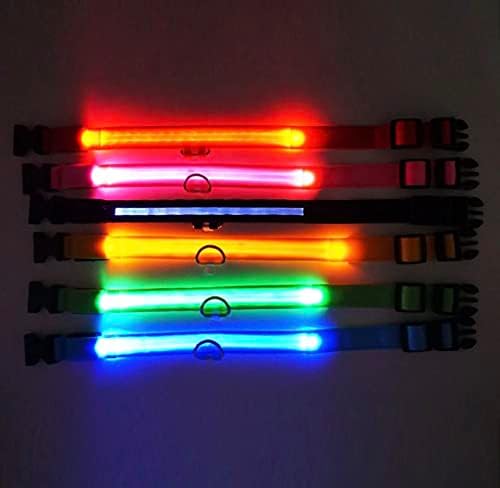 Lumipaws LED תאורה צווארון כלבים - בטיחות לילה - USB נטענת - אור צווארון כלבים זוהר עמיד במים