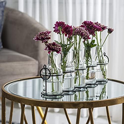 אגרטל פרחי זכוכית 5 pc עם מחזיק מתכת, אגרטלים הטובים ביותר לפרחים, מוגדרים לעיצוב בית, קישוטים לחתונה, עיצוב