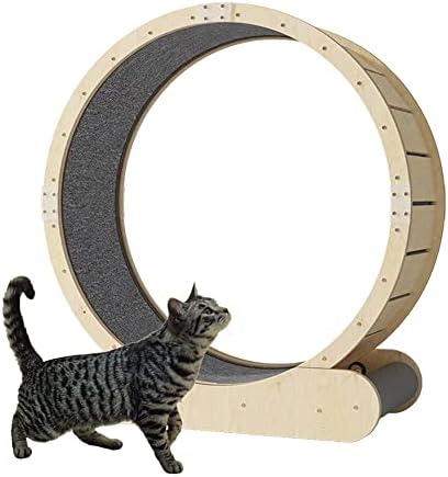גלגל החתול של מקנוס, הליכון חתול, גלגל אימון, מנגנון נעילה, גלילים שקטים ונטולי רעש, משחק אימון לחתולי ריהוט חתולים