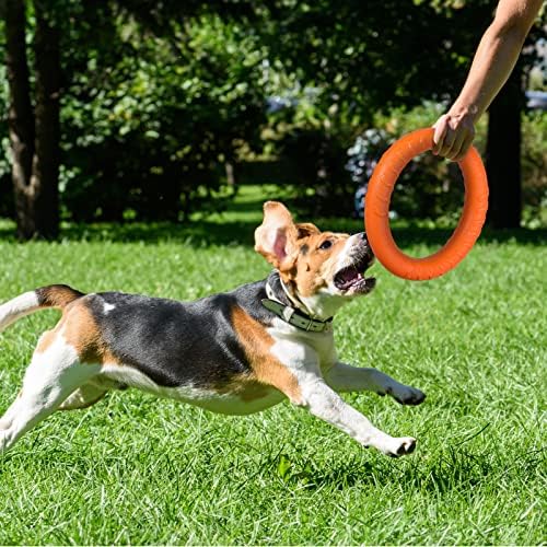 LEITEE 2 חבילה טבעת כלבים צעצועים בלתי ניתנים להריסה צעצועים לכלבים כלבים לעיסת צעצוע טבעת דיסקים מעופפים דיסקים צפים כלים