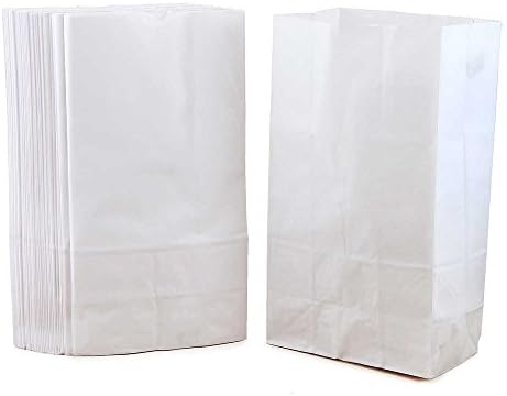 שקיות נייר לבנות של Hygloss משובצות חביבות ארוחת צהריים קרפט קרפט, בובות, מלאכות ועוד 4 גודל 5 x 3 x 9.75 אינץ '-100