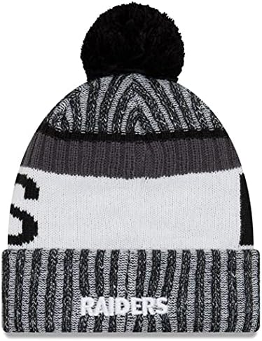 עידן חדש אוסף אותנטי ריידרס ריידר צדדי מזג אוויר קר אזיק כפית סרוג כובע כובע Skully כובע אחד בגודל הכי מתאים ביותר