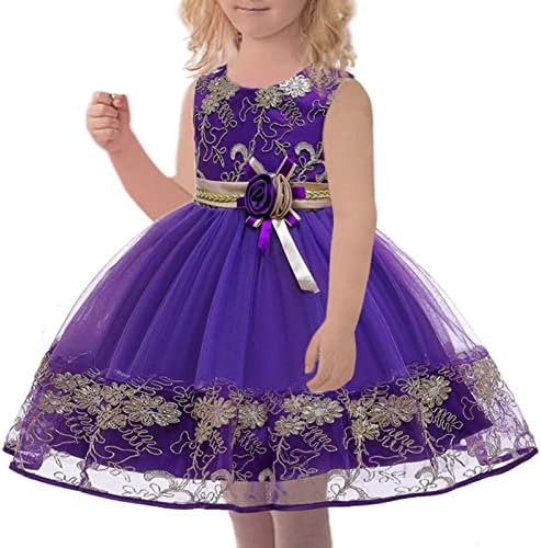 2023 שמלת לילדים חדשה תחרה תחרה חצאית שמלת נסיכה השתתפה במסיבה כדי להשתתף בילדת יום ההולדת הראשונה