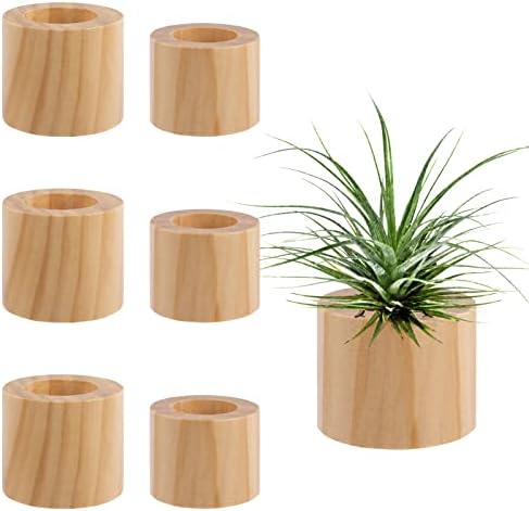 סט של 6 מחזיק צמח אוויר מעץ- 2 גדלים בסגנון כפרי סירי צמח אוויר מקורה צמחי אוויר דקורטיביים תצוגה מכולות מרכזי שולחן עבור