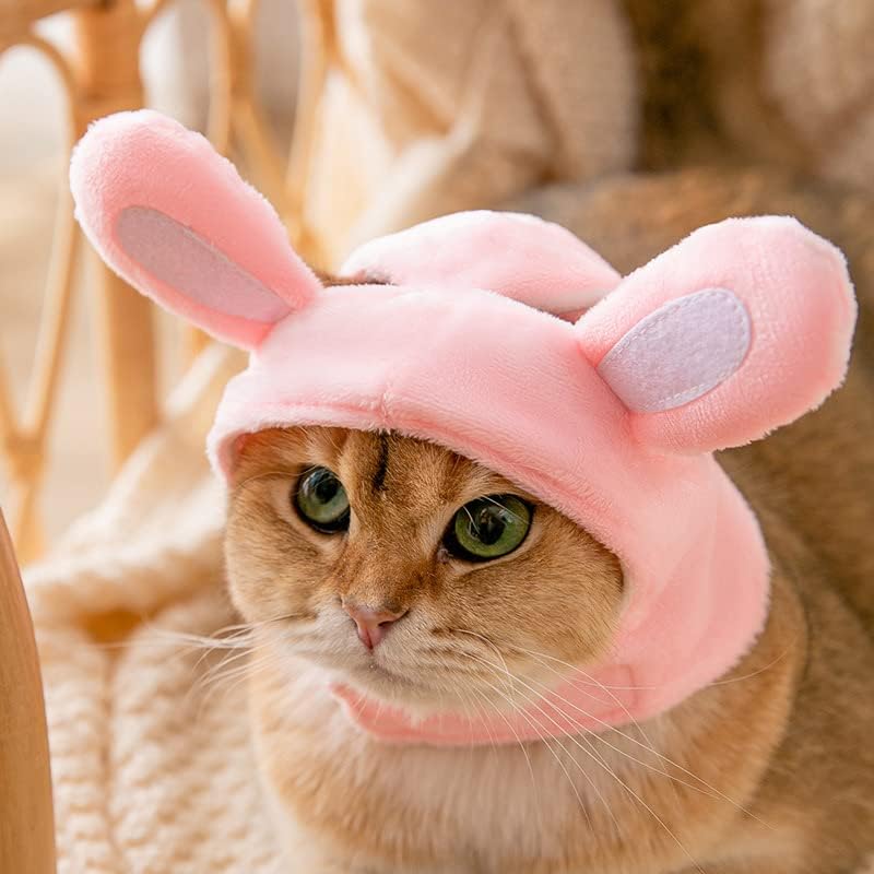 חתול כובע, מקסים תלבושות, מסיבת תלבושות אבזר בארה' ב, מועדון חתול כובע-כובע לחתולים, חתלתול כובע