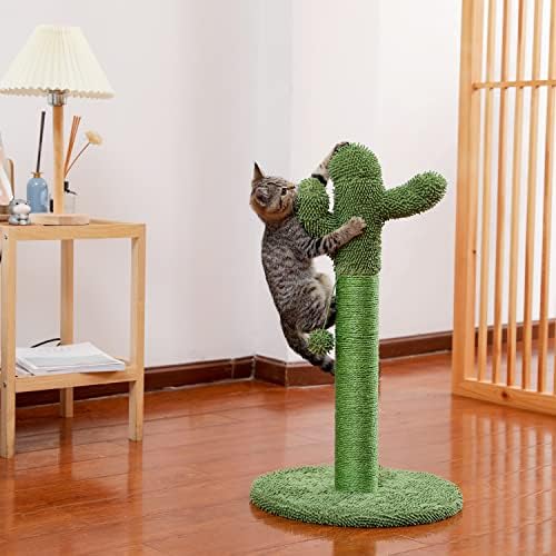 קקטוס חתול חתול צעצוע עץ גרדן סיסל גרוד אינטראקטיבי כדור ירוק